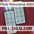 Pilule Rhinocéros 4000 29